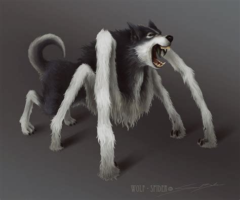 Wolf-Spider by 0110100110 on DeviantArt