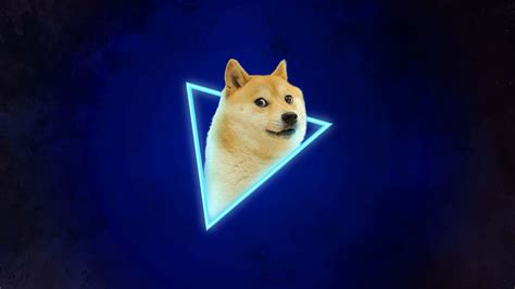 [100+] Doge Wallpapers | Wallpapers.com