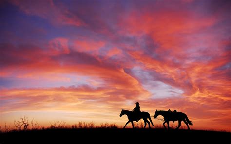 Cowboy Horses 4K Wallpapers | HD Wallpapers | ID #23547