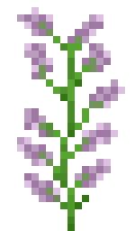 Lilac | Minecraft Bedrock Wiki | Fandom