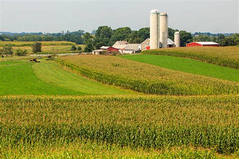 Pennsylvania Farm Stock Photos, Pictures & Royalty-Free Images - iStock