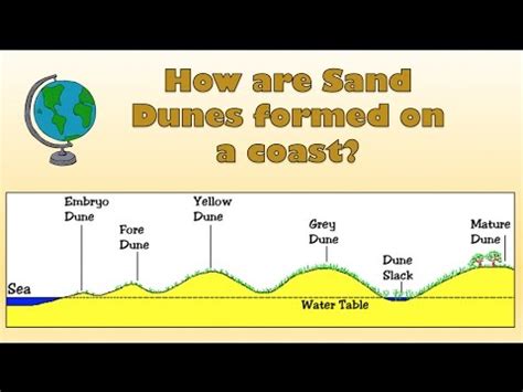 Coastal Systems: Coastal Sand Dunes 1 | Doovi