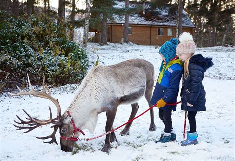 Enjoy winter family breaks at Macdonald Aviemore Resort