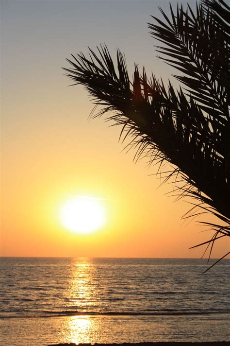 Sunset in Paphos, Cyprus | Nature photography, Sunrise sunset, Cyprus holiday