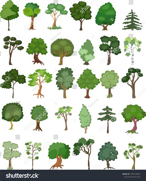 Tress Set Vector Different Trees Illustration Stock Vector (Royalty ...