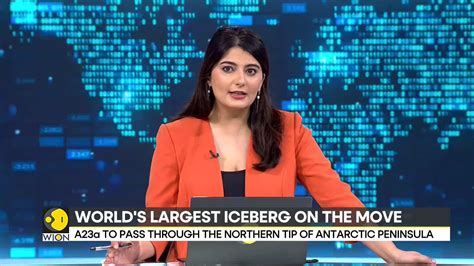 World's largest iceberg A23a could cause problems for fauna in South Georgia Island - World News