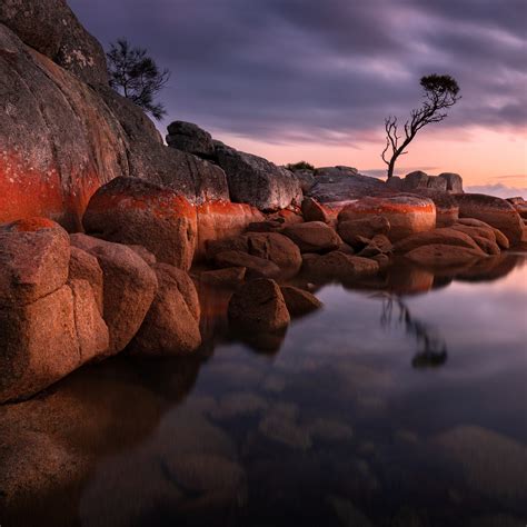 Binalong Bay Wallpaper 4K, Tasmania, Australia, Sunrise