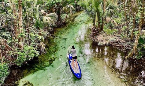 Kayaking From King's Landing - impulse4adventure - Florida Adventures