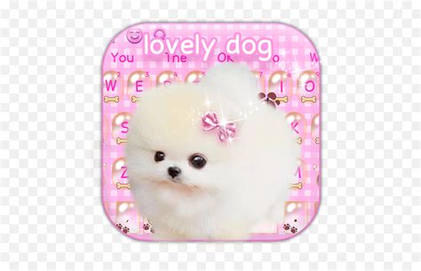 Cute White Dog Keyboard Theme - Pomeranian Emoji,Dog Emoticons - free ...