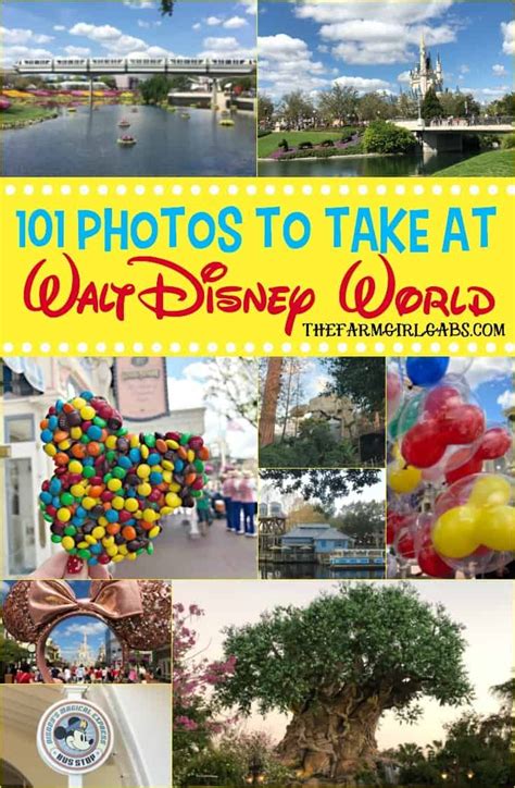 101 Photos To Take At Walt Disney World | Walt disney world vacations, Disney world, Disney ...