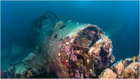 Trending 292i7m: Amelia Earhart Plane Wreckage