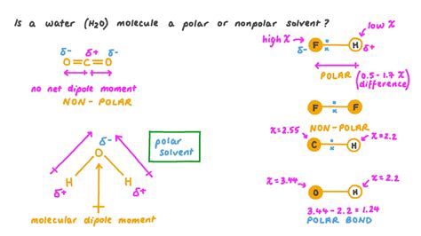 Polar Covalent Bond H2o