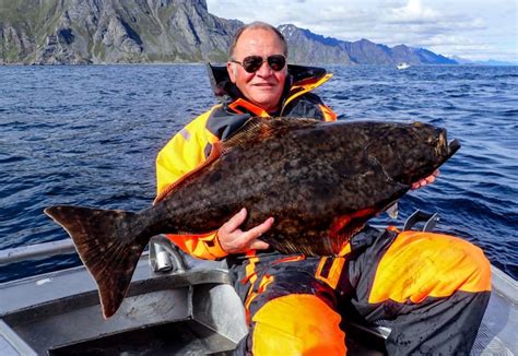 Norway Sea Fishing Holidays | Sportquest Holidays