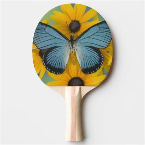 Sammamish Washington Photograph of Butterfly 22 Ping Pong Paddle | Zazzle