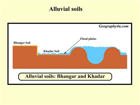 Soil types of India - its characteristics and Classification| Geography4u.com