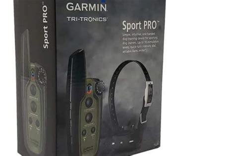 How the Garmin Sport Pro Collar Can Help You Train Your Dog