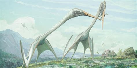 Pterosaurs Are Changing What We Know About Flight | Inverse