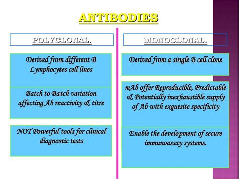 PPT - APPLICATIONS OF MONOCLONAL ANTIBODIES PowerPoint Presentation, free download - ID:5604406