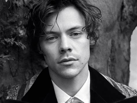 Download Face Black & White English Singer Music Harry Styles HD Wallpaper