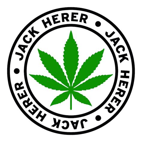 Freedom Fighter Flowers — A Review Of The Jack Herer Strain