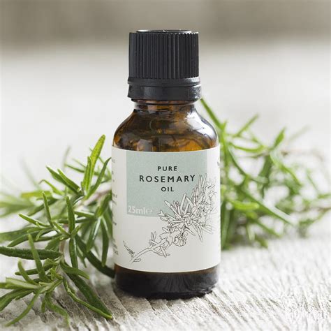 What’s so special about Rosemary Oil? | Cosyfeet