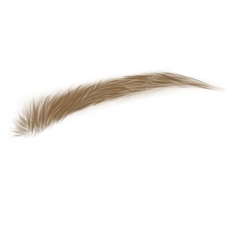 Download Hd Eyebrow Texture Png Brown Eyebrow Png Tra - vrogue.co