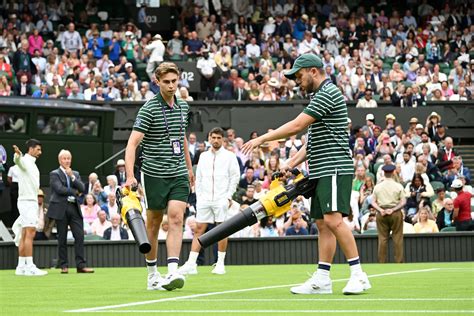 Highlights from Wimbledon 2023 – New York Daily News