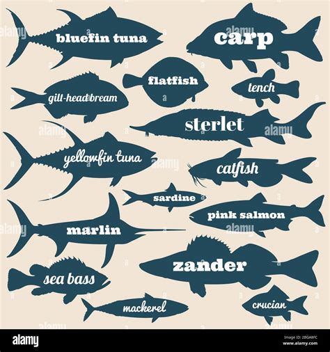 Different Types Of Fish With Names