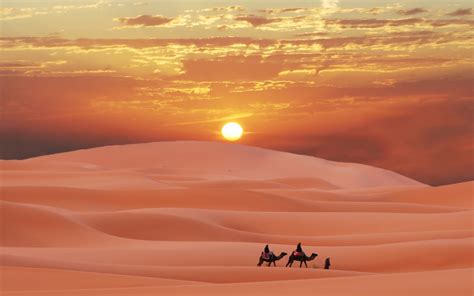 Wallpaper : 1920x1200 px, berber, camel, desert, Morocco, Sahara, sand, sunset 1920x1200 ...