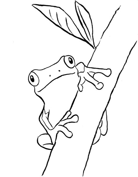 Printable Frog Coloring Pages