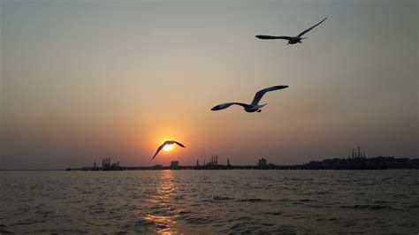 Sunset at Juhu Beach - PixaHive