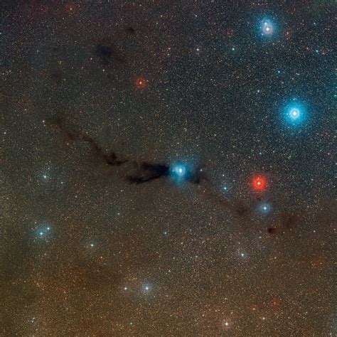 Dark Nebula Hides Star Birth - Universe Today