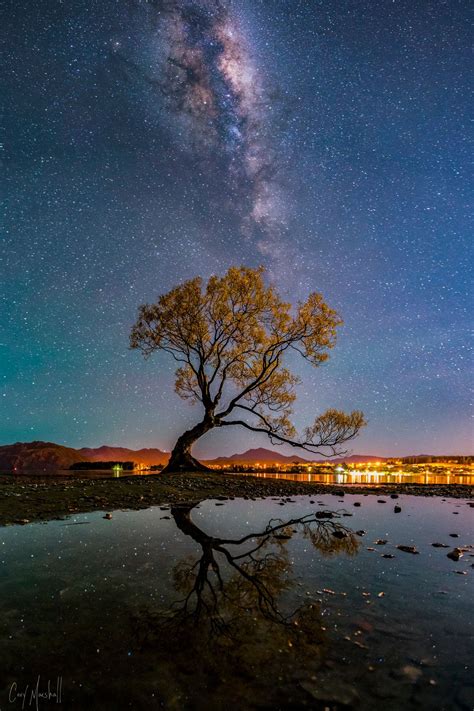 New Zealand Nights - Milky Way above the famous tree in Wanaka ...