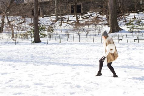 A Snowy Central Park | My Stiletto Life