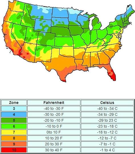 Memorial Tree Cremation Urn | Memory tree, Planting zones map, Dogwood ...