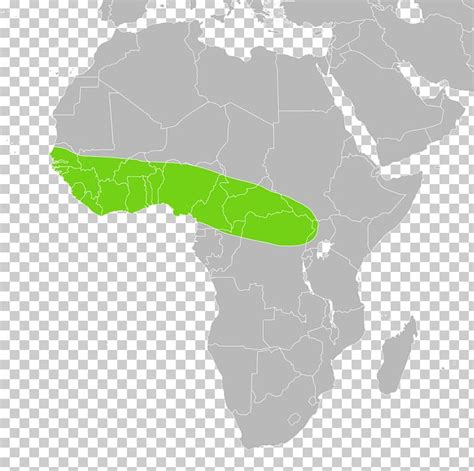 Somalia Conflicts In The Horn Of Africa Barbara Europe Sultanate Of ...