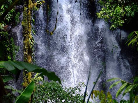 15 BEST Waterfalls in Fiji ????️ [2024] - Fiji Pocket Guide