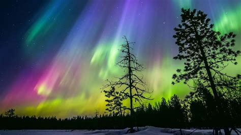 Northern Lights - Finland - backiee