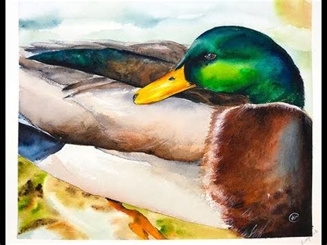 Watercolor Duck Painting Demonstration - YouTube