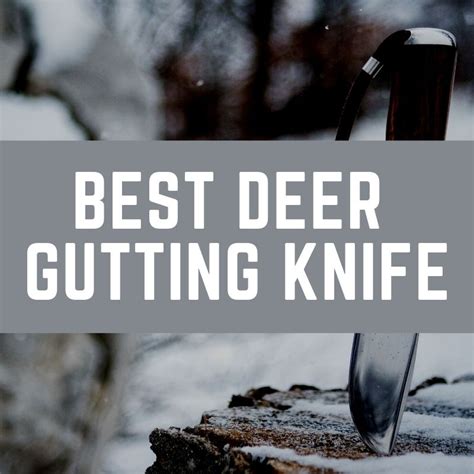 13 Best Deer Gutting Knife for 2022-2023 [Ultimate Guide]