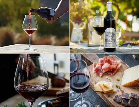 Know Your Vino: 6 Common Red Wine Varietals & What They Taste Like