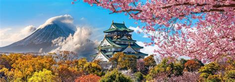 Things to do in japan – Telegraph