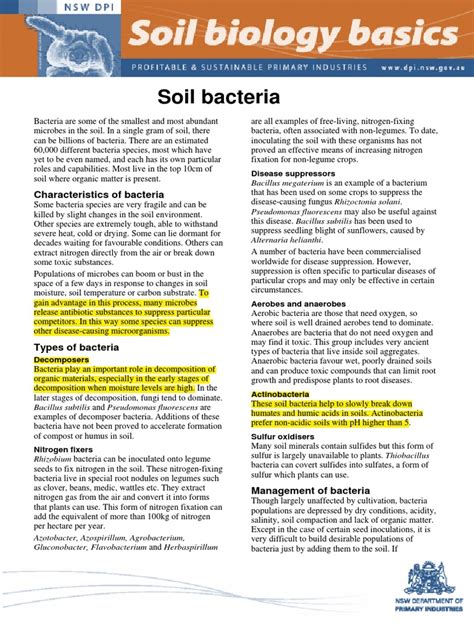 Soil Bacteria | Soil | Bacteria