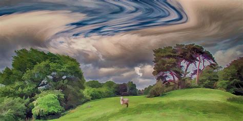 Windswept hills Photograph by Sharon Lisa Clarke - Fine Art America