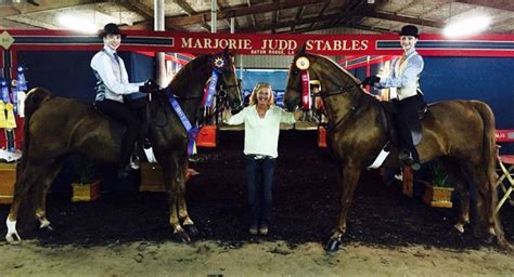 Stables – Louisiana American Saddlebred Horse Association