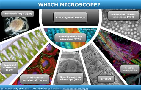 Types Of Microscopy How Light Microscopes Work Howstu - vrogue.co