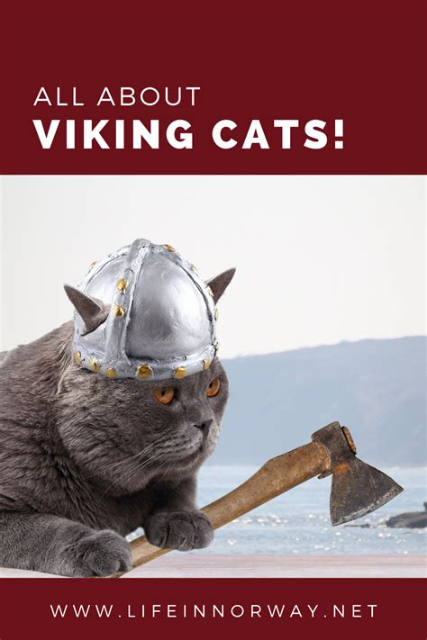 Viking Cats: The Preferred Pets of the Northmen - Life in Norway | Vikings, Pets, Forest cat