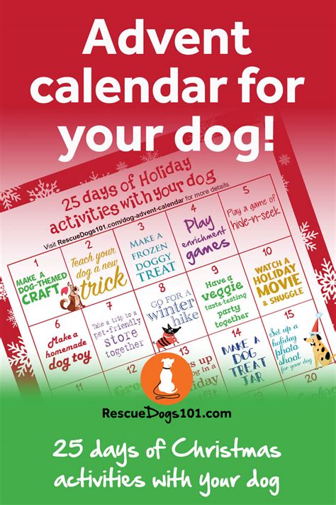 Dog advent calendar 2023