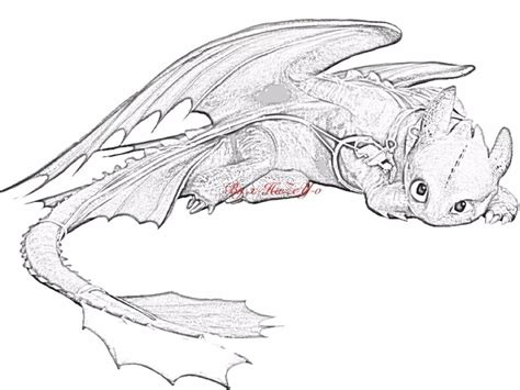 Toothless Sketch, Hiccup And Toothless, Cute Dragon Drawing, Dragon Sketch, Httyd Dragons, Cute ...