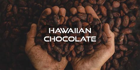 Hawaiian Chocolate - Hawaii Eco Living